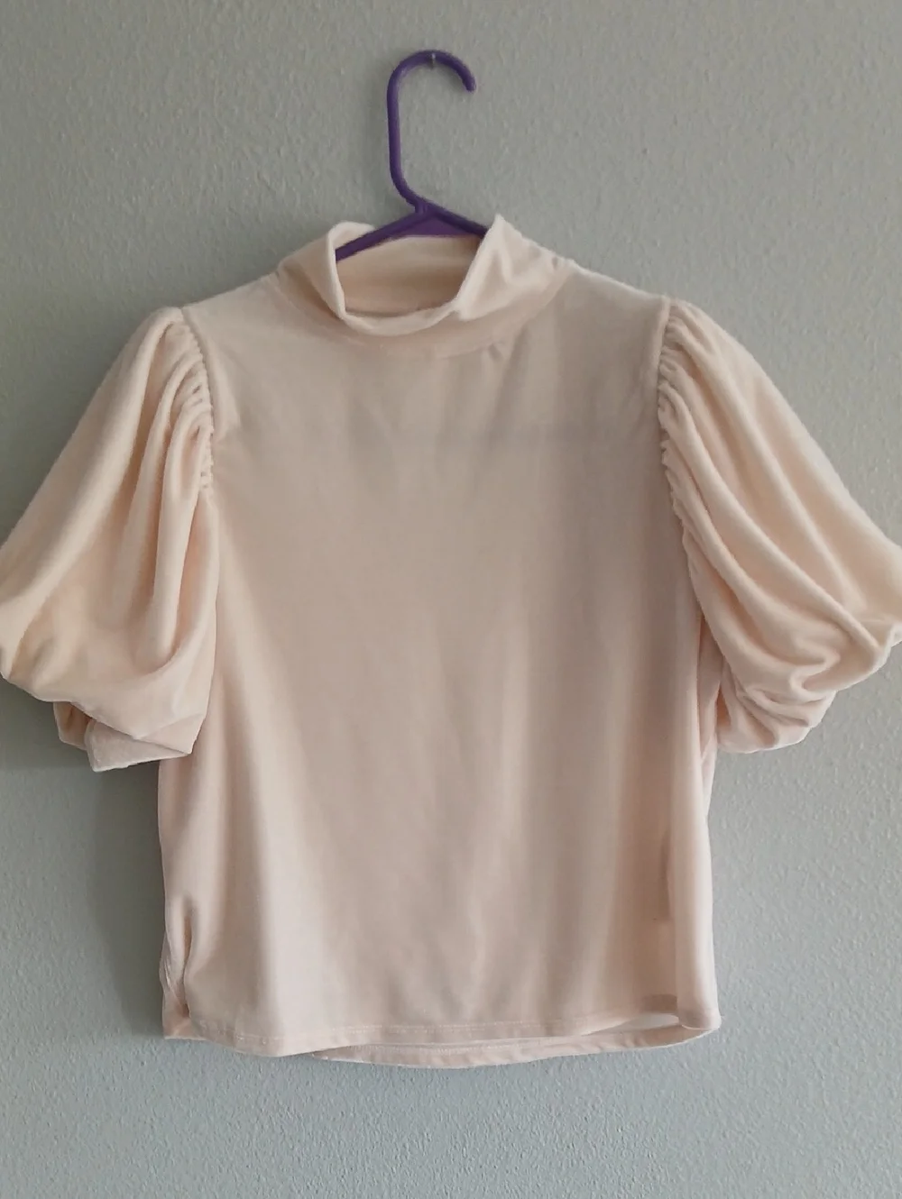 Free People Claudia Xs Puff Sleeve High Neck Top Light Pink Velvet